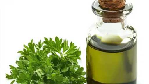 ماذا يحدث لجسمك عند تناول زيت البقدونس