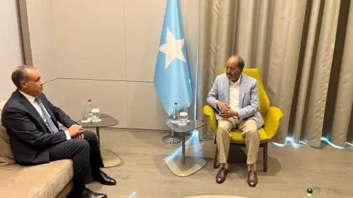 وزير الخارجية يلتقي الرئيس الصومالي ويؤكد مواصلة دعم مصر للصومال وتعزيز الشراكة الاستراتيجية