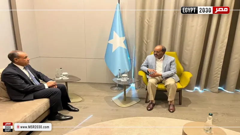 وزير الخارجية يلتقي الرئيس الصومالي