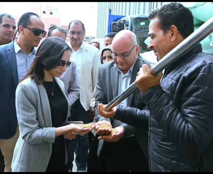 محافظ البحيرة تتفقد أعمال توريد القمح بصومعة الغلال