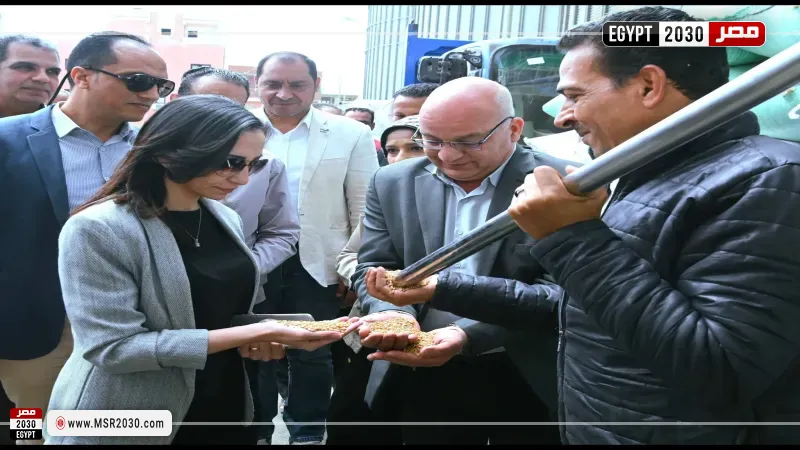 محافظ البحيرة تتفقد أعمال توريد القمح بصومعة الغلال