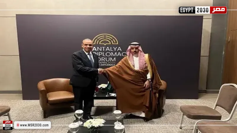 وزير الخارجية ونظيره السعودي