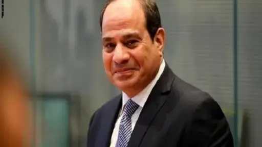 الرئيس السيسي يلتقي سكرتير عام منظمة الطيران المدني الدولي (ايكاو)