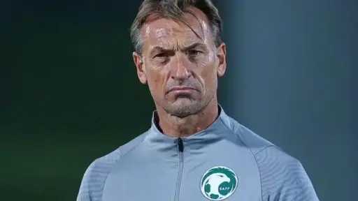 عاجل| الأهلي يحسم الجدل بشأن مفاوضات هيرفي رينارد