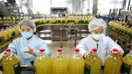 إندونيسيا تعتزم وقف واردات الديزل والتحول إلى الوقود المشتق من زيت النخيل