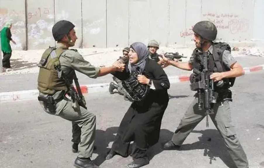تركيا: يجب محاسبة إسرائيل على انتهاكاتها المستمرة في فلسطين