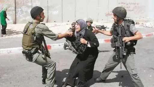 تركيا: يجب محاسبة إسرائيل على انتهاكاتها المستمرة في فلسطين