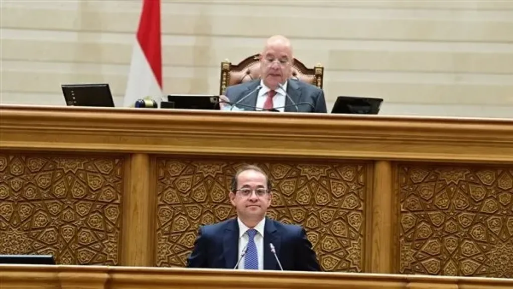 وزير المالية في النواب