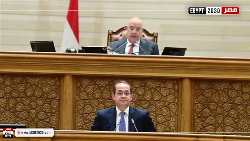 وزير المالية في النواب