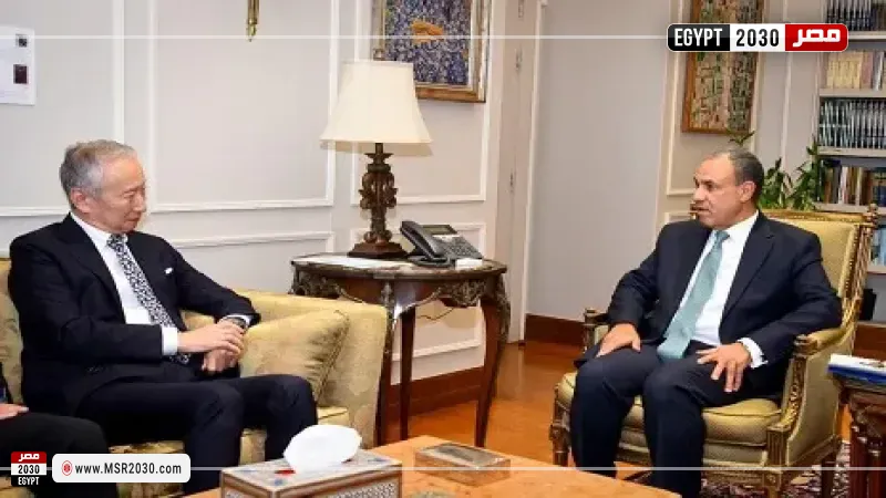 الدكتور بدر عبد العاطي، وزير الخارجية 