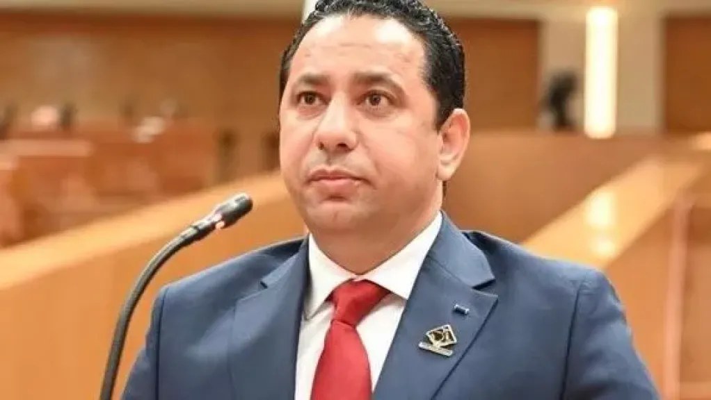  حسام خليل، عضو لجنة الصحة بمجلس النواب