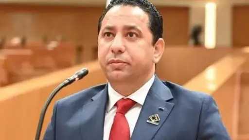 برلماني: مشروع التأمين الصحي الشامل يمثل مظلة صحية تستهدف تغطية جميع المواطنين