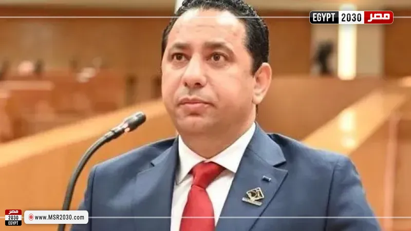  حسام خليل، عضو لجنة الصحة بمجلس النواب