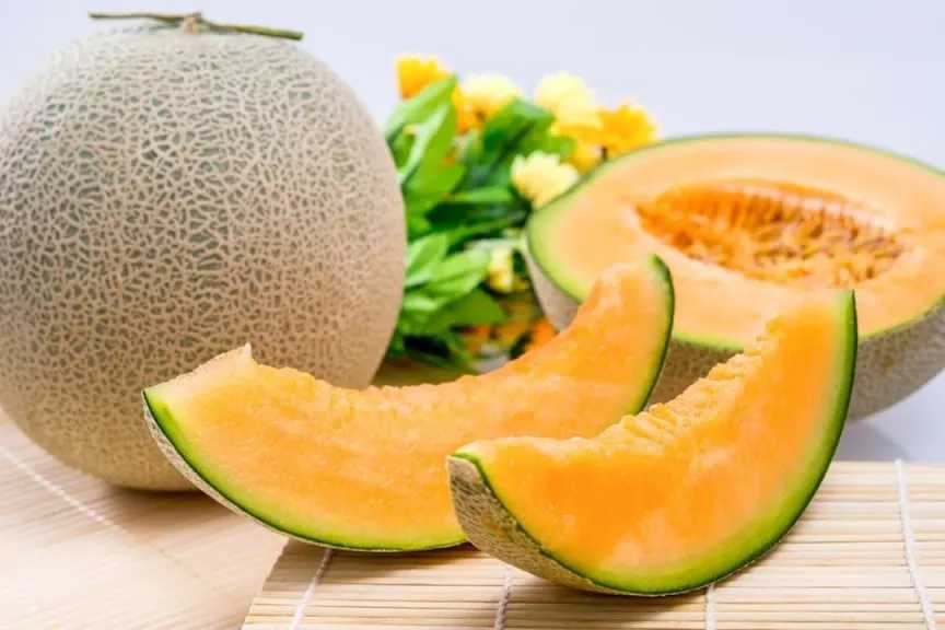 الكنتالوب.. فوائد صحية متعددة وأضرار يجب الانتباه لها