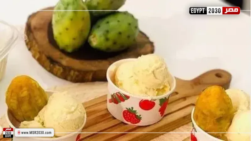 مصر 2030