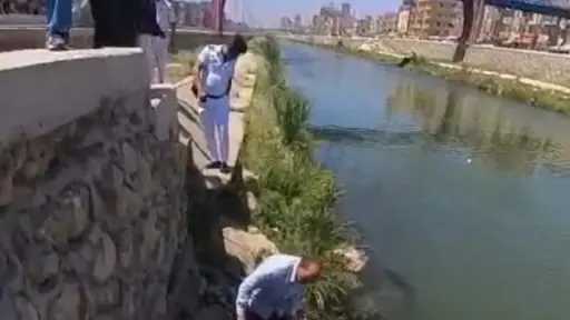 حملات موسعة للقضاء على مصادر التلوث العشوائي على ترعة المحمودية ومصرف القلعة بالإسكندرية