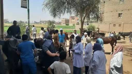 فحص وعلاج 3150 حيوان في طما والمراغة والمنشاة في قوافل بيطرية مجانية بسوهاج