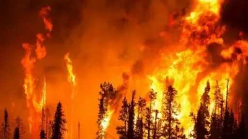 أزمة حرائق غير مسبوقة في جورجيا الأمريكية وإعلان حالة الطوارئ في 91 مقاطعة