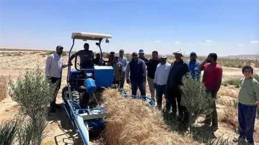 عماد عوض: سيناء تخوض حرب التنمية.. و721 ألف فدان جاهزة للزراعة