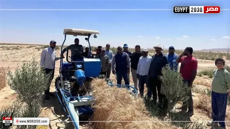 مشروع التجمعات الزراعية