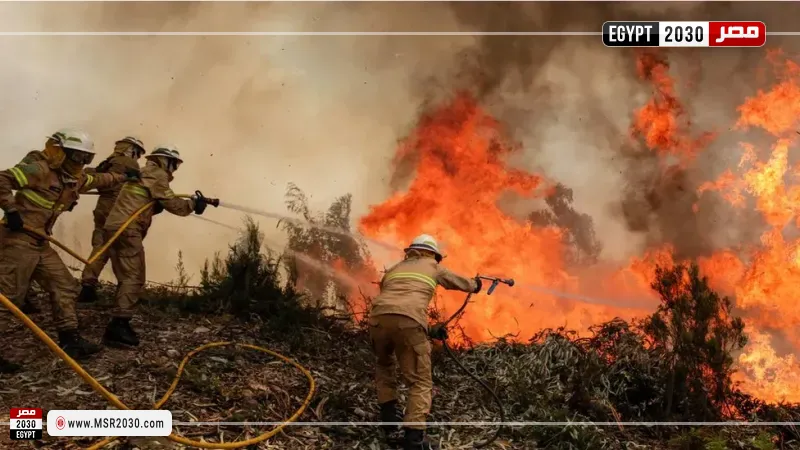 النمسا تعلن السيطرة إلى حد كبير على حريق غابات هائل في جنوب البلاد