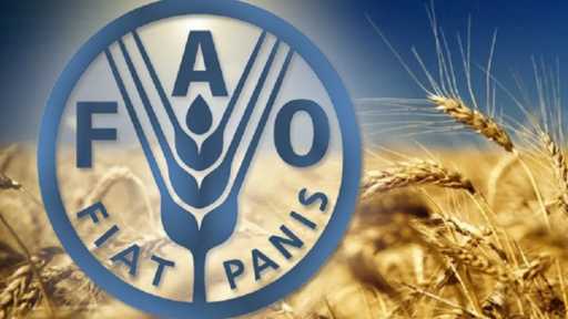 «الفاو»: أزمة جيوسياسية تهدد الطاقة والأسمدة وتدفع لاجتماع طارئ لبحث الأمن الغذائي