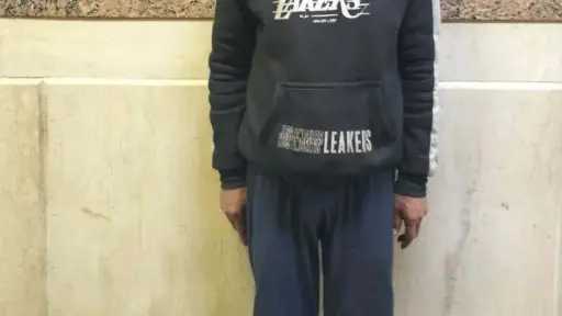 ضبط عاطل اعتدى على مواطنين وأصحاب محلات بالجيزة.. وإيداعه مصحة نفسية للعلاج