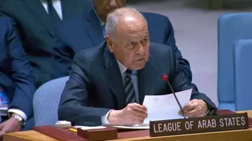 أبو الغيط أمام مجلس الأمن: إسرائيل تتبنى أجندة الحرب المستمرة ولا رؤية لديها للسلام