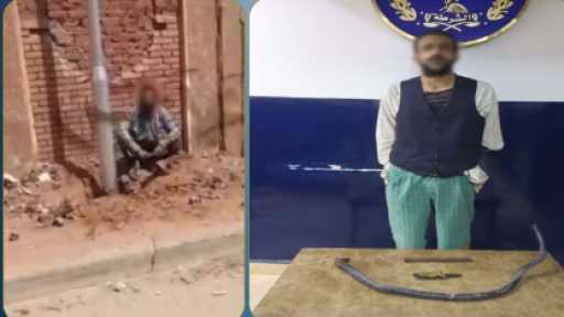 القبض على متهم بسرقة أسلاك كهرباء أعمدة إنارة ببورسعيد بعد فيديو متداول