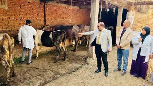 محافظ الدقهلية: تحصين 14 ألف رأس ماشية ضد مرض الحمى القلاعية وحمى الوادي المتصدع