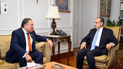 وزير الخارجية يلتقي رئيس لجنة الشئون العربية بمجلس النواب