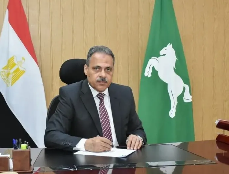 محافظ الشرقية