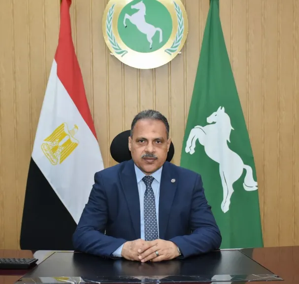 مصر 2030