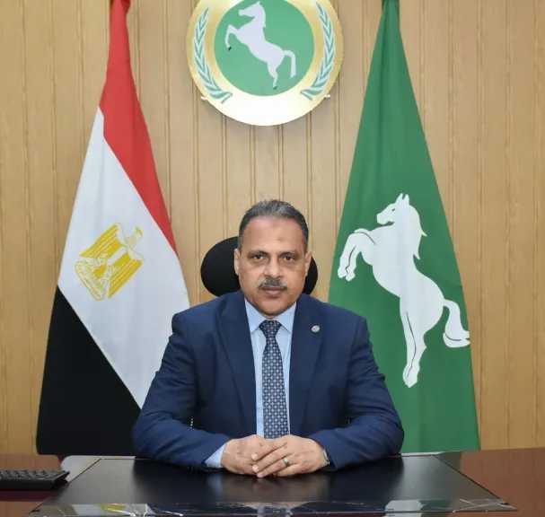 محافظ الشرقية: محطة محولات الزقازيق الجديدة نقلة نوعية لدعم استقرار الكهرباء وخطط التنمية