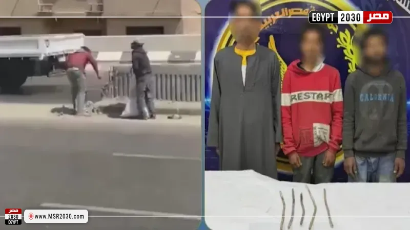 المتهمين 