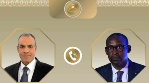 وزير الخارجية ونظيره المالي يبحثان سبل استقرار الأمن والسلام بالقارة الأفريقية