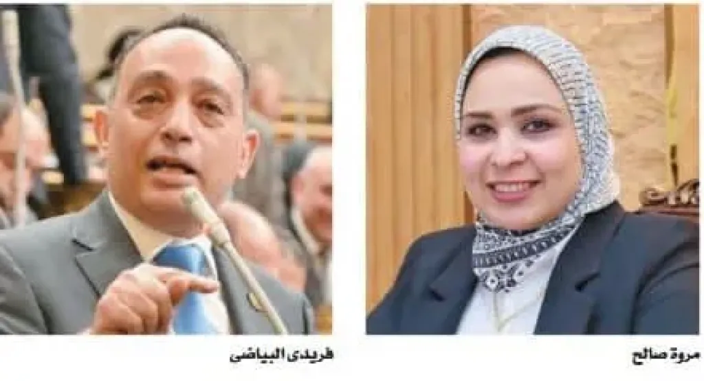 مقترح برلماني لإنشاء مشروع قومي للطاقة الشمسية وتوسيع استخدامه في مصر