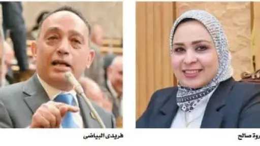 مقترح برلماني لإنشاء مشروع قومي للطاقة الشمسية وتوسيع استخدامه في مصر
