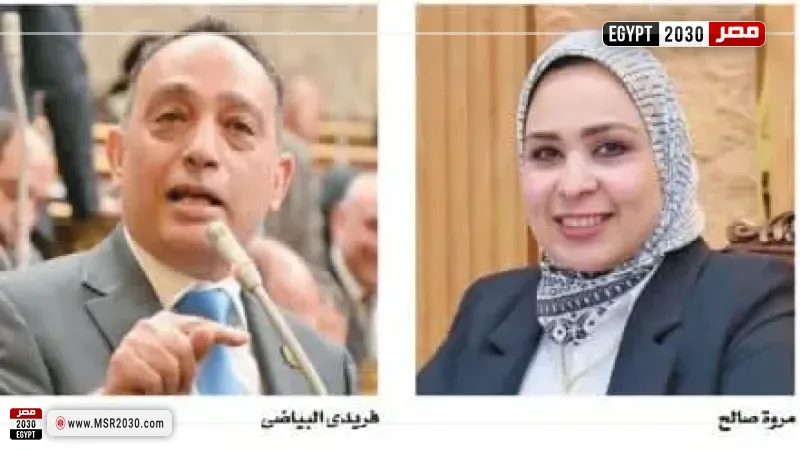 مقترح برلماني لإنشاء مشروع قومي للطاقة الشمسية وتوسيع استخدامه في مصر