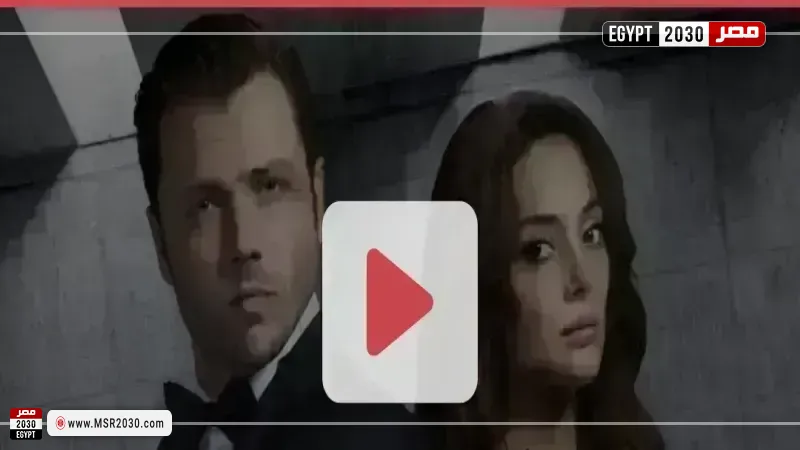 المنظمة 178