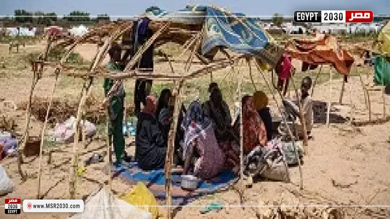 مقتل 3 وإصابة 4 في مشاجرة دموية بحفل زفاف بجنوب دارفور