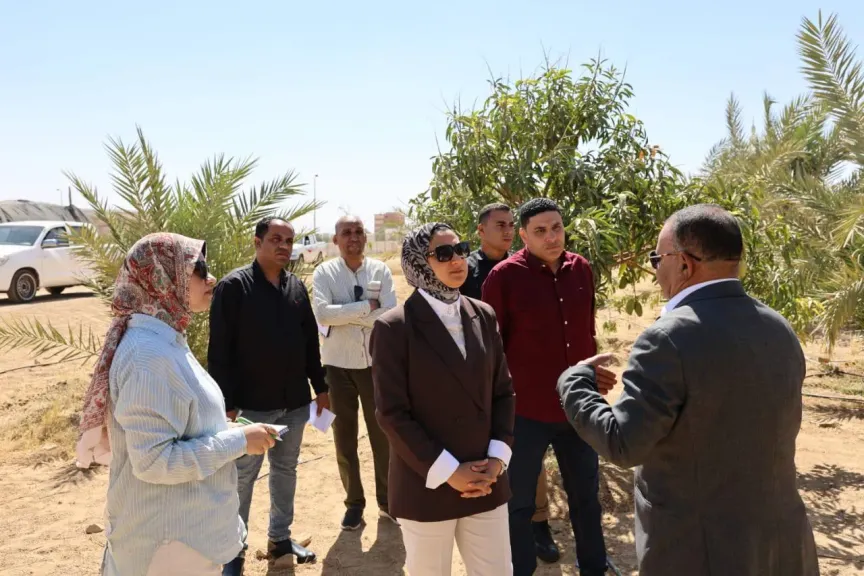 جولة محافظ الوادي الجديد