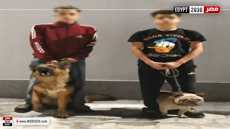 المتهمين 