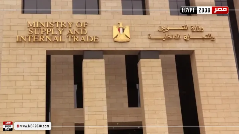 التموين تضبط وتعدم 3 أطنان دواجن نافقة داخل منشأة بالجيزة