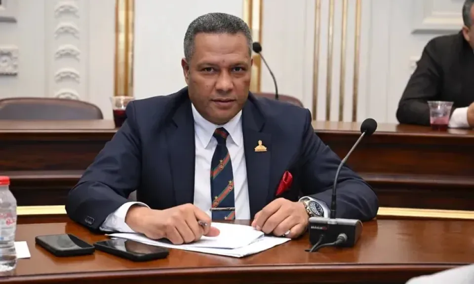  النائب محمد حمزة، عضو مجلس الشيوخ