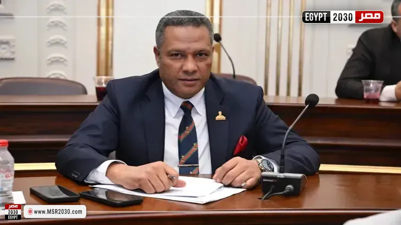  النائب محمد حمزة، عضو مجلس الشيوخ