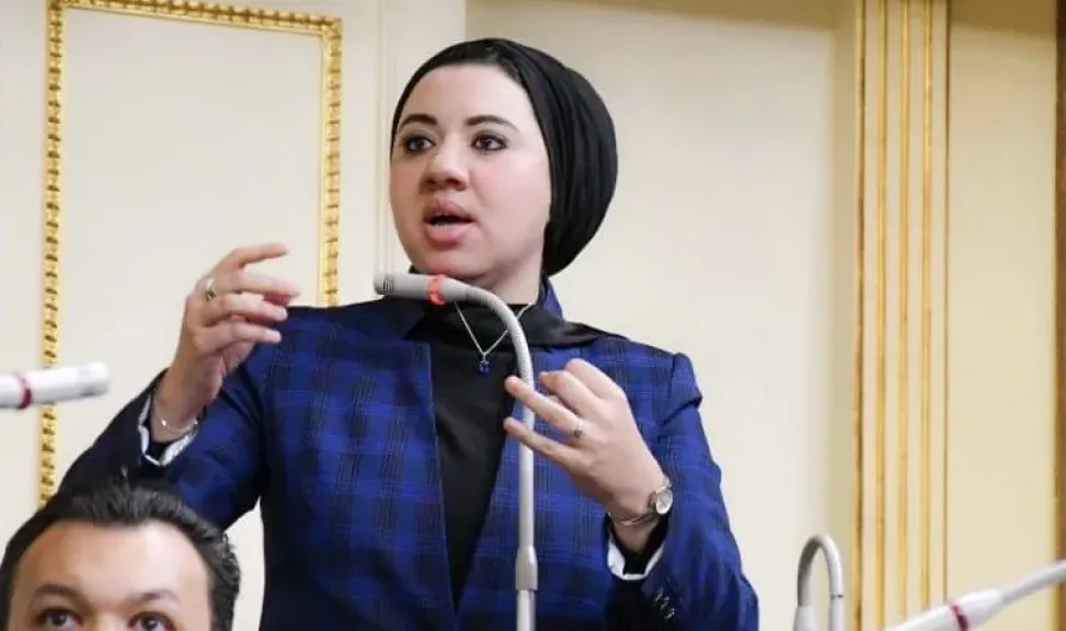 أميرة صابر تقترح إنشاء معرض رقمي للآثار المصرية المنهوبة