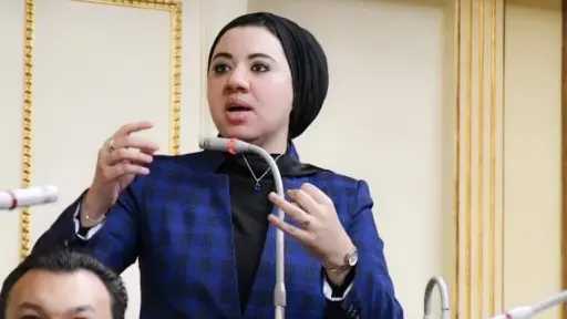 أميرة صابر تقترح إنشاء معرض رقمي للآثار المصرية المنهوبة
