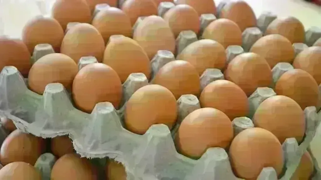 مصر 2030
