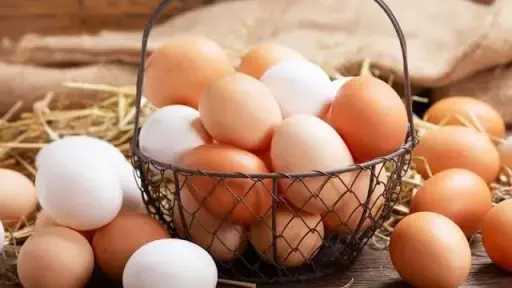 البيض للأطفال.. غذاء متكامل يدعم النمو ويقوي التركيز
